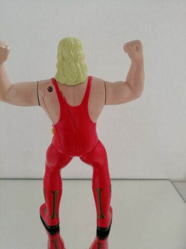 WWF WWE OSFT KEVIN SULLIVAN SUPERSTARS WRESTLING ACTION FIGURE 1997 - Imagen 9 de 10