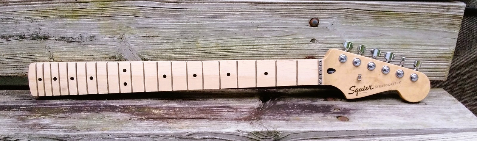 Fender Squier Stratocaster Neck