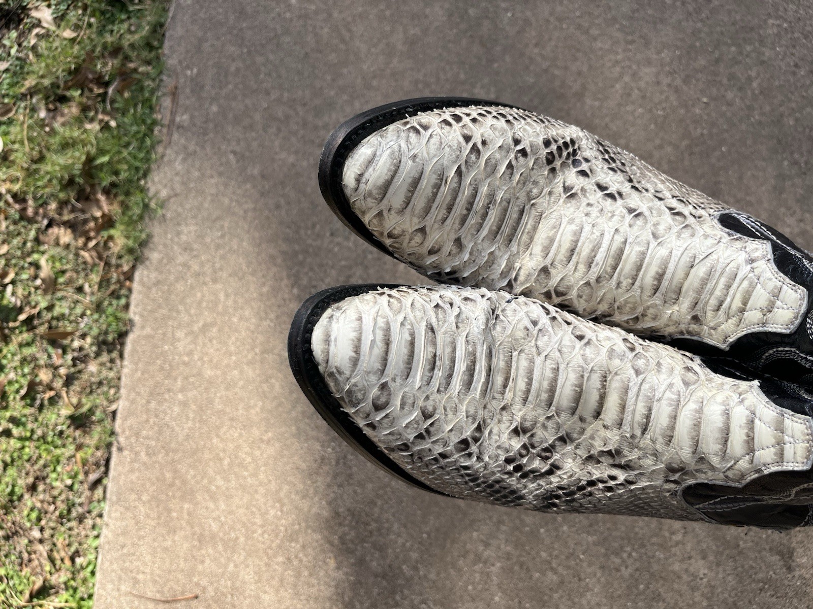 Dan Post Manning Exotic Python Snakeskin Cowboy B… - image 6