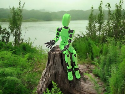 Life Size robot, Large Dummy 13, 27 Inch Action Figure, 3d Print, Mannequin