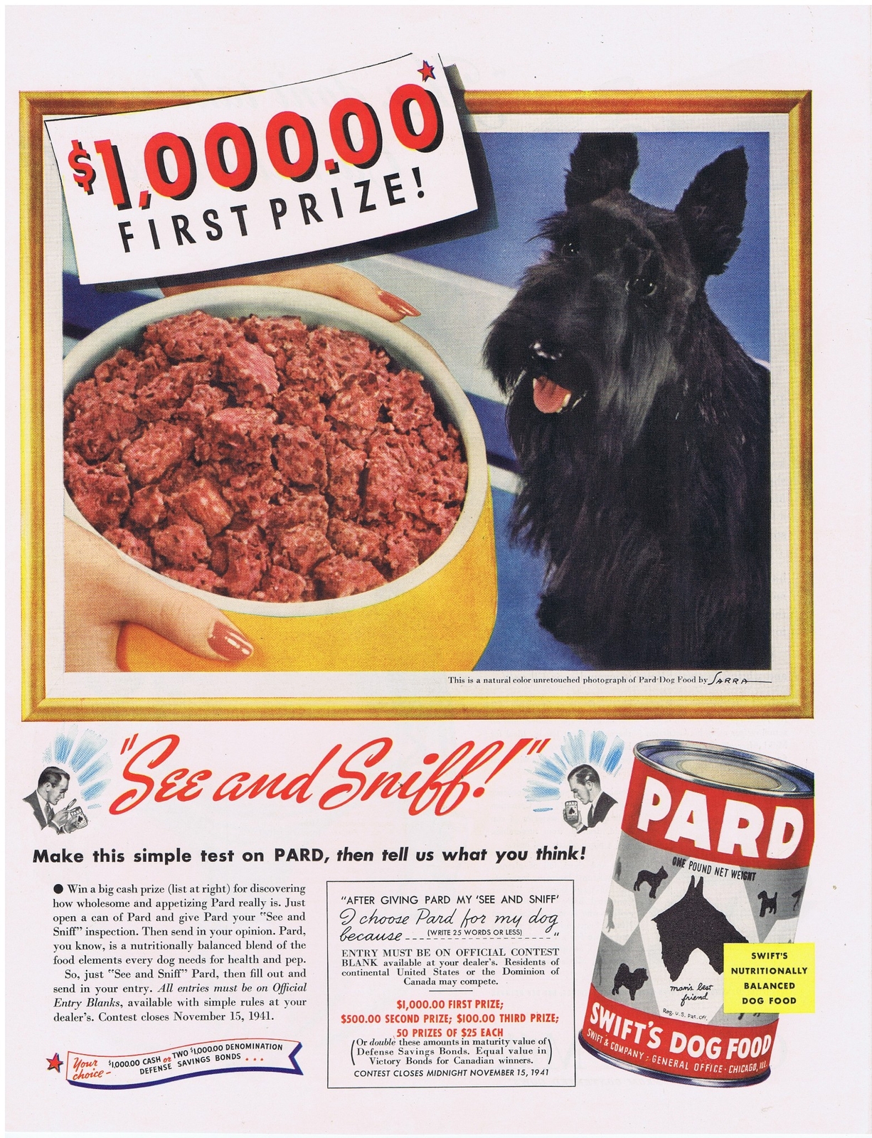 What Type Of Dog Food Is Best For Scotties