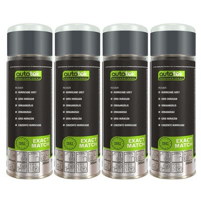 6x Autotek Rover Hurricane Grey Aerosol-Sprühlack mit hoher Deckkraft 300 ml