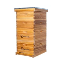 BeeCastle 10 Frame Langstroth Bee Hive Coated with 100% Beeswax Includes Beeh...