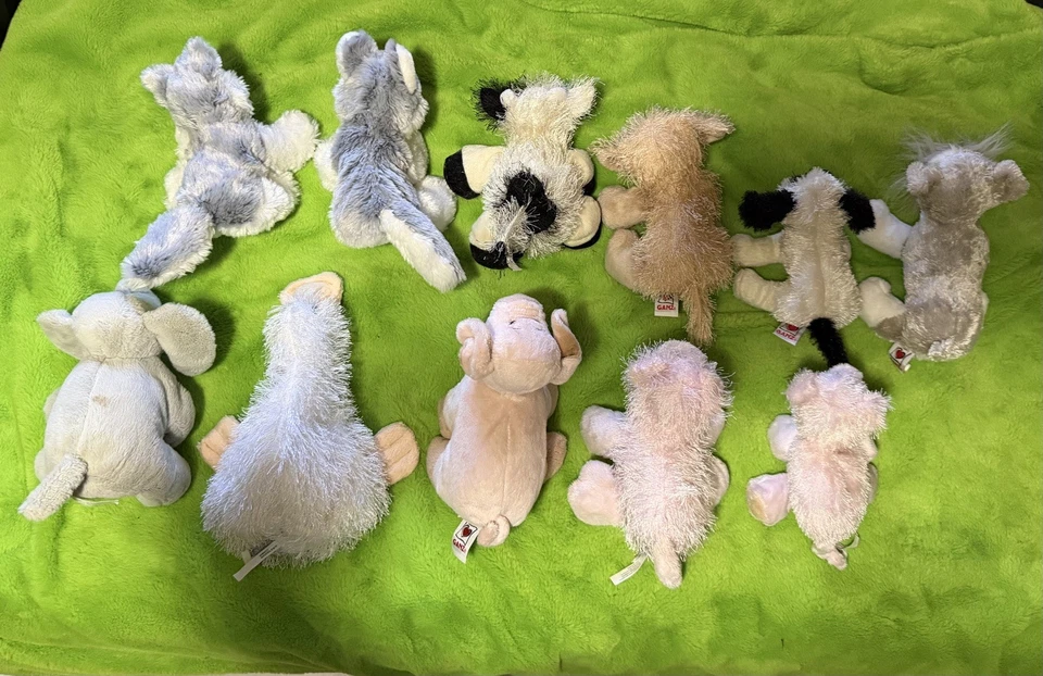 Webkinz Plush Lot Of 11 No Codes - Image 2 of 4