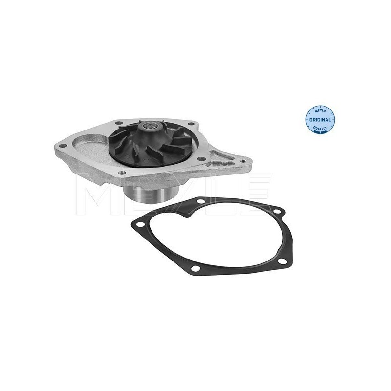 MEYLE 16-13 220 0015 Water Pump for Megane Clio Kangoo Logan Thalia Scenic Micra