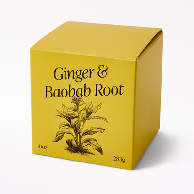 IDG Scents Tonka Bean and Ocean Air Candle 10oz Ginger & Baobab Root