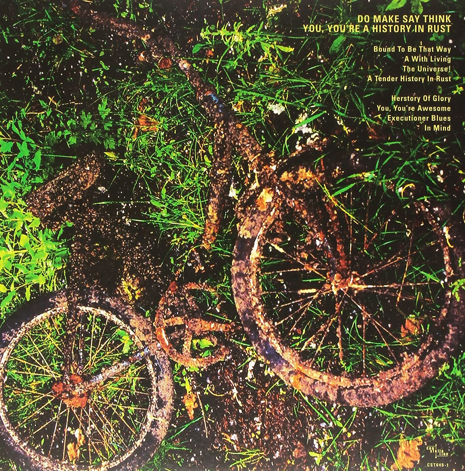 Do Make Say Think You You're A History In Rust (Vinyl) 666561004514 eBay