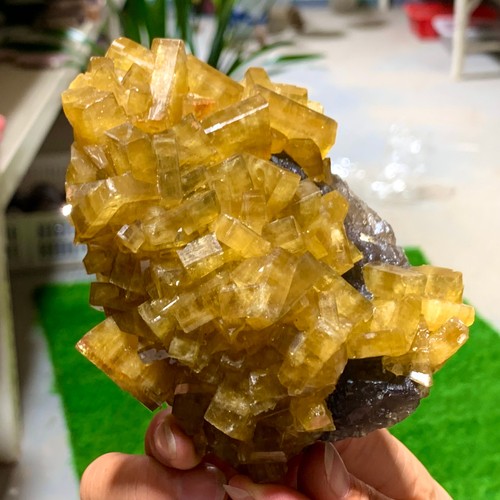 1.39LB Natural Beautiful Shiny Golden Barite Crystal Healing - Picture 14 of 17