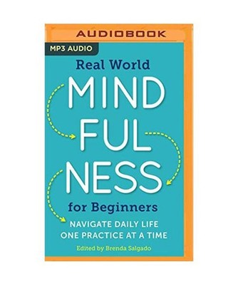 Real World Mindfulness for Beginners: Navigate Daily Life One Practice at a Time