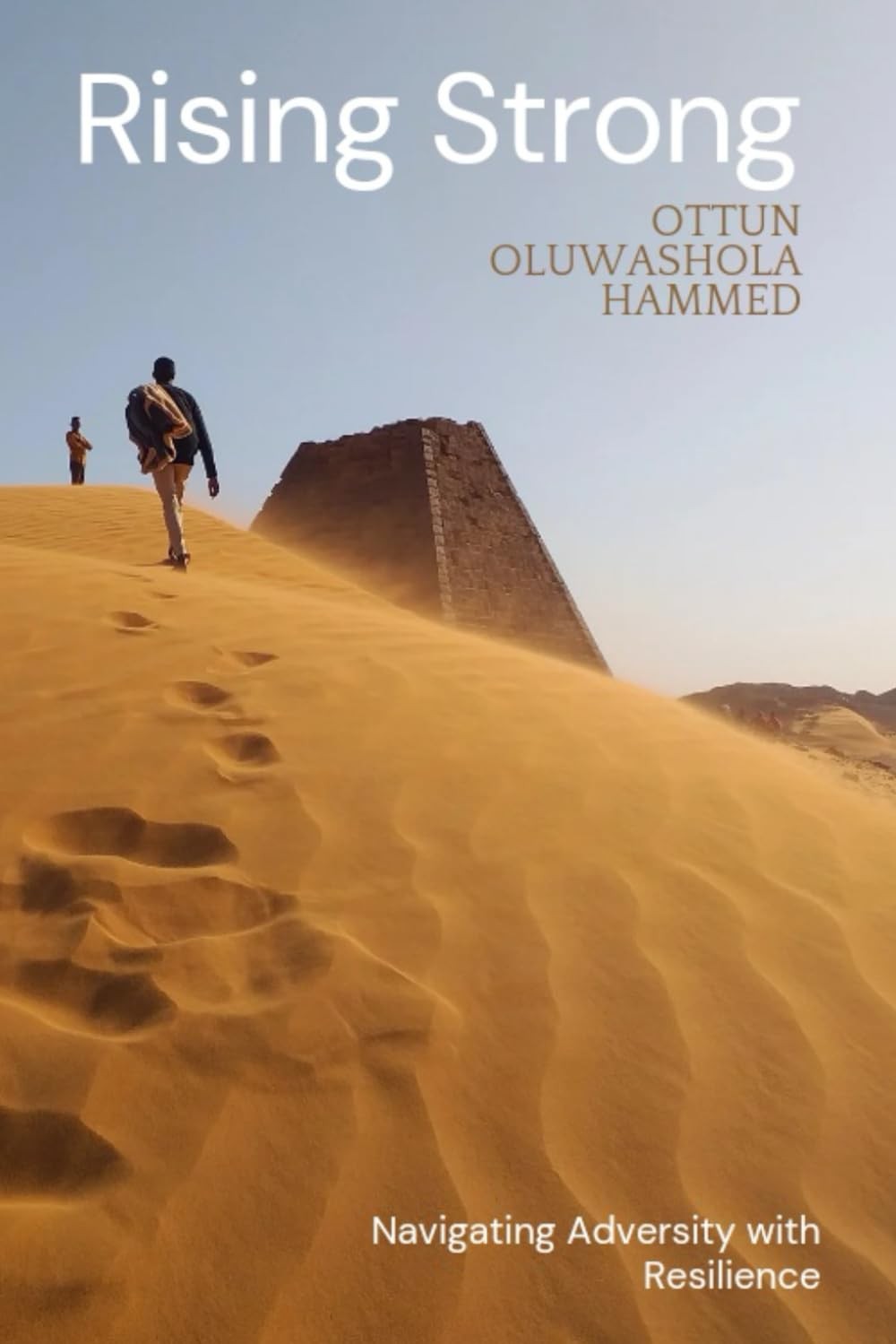 Оттун Олувашола нанес сильный удар по Райзингу (Тащенбух)