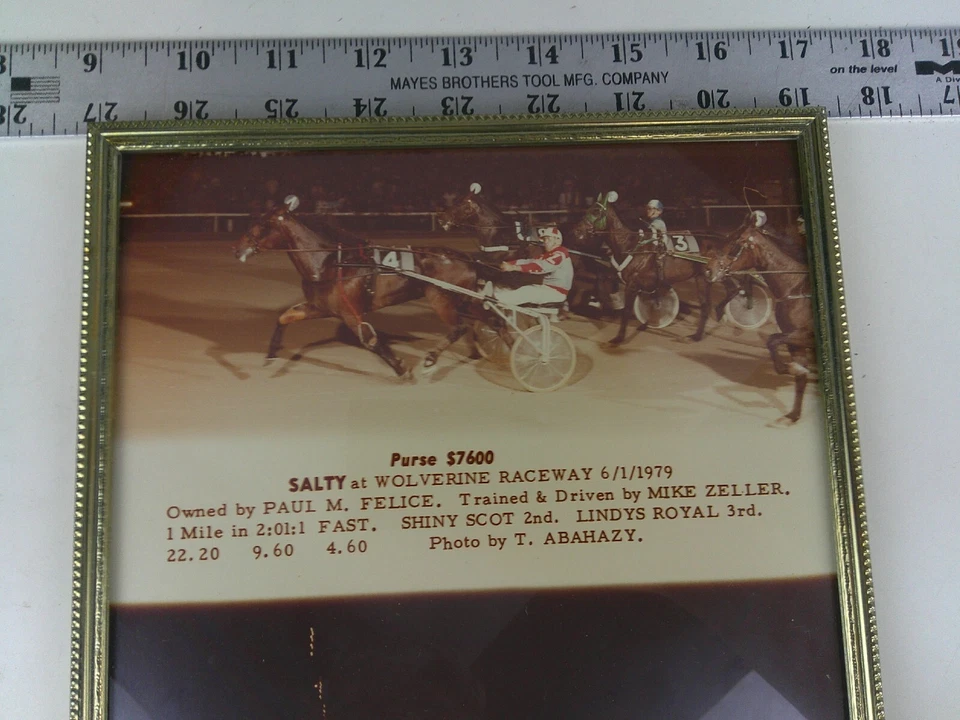 79 Arnés Carreras de Caballos 8X10 Foto Real Salado Wolverine Raceway M. Zeller BIS Foto 2 de 4