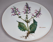 Villeroy & Boch Botanica Kuchenplatte Platte Servierplatte Ø 30 cm