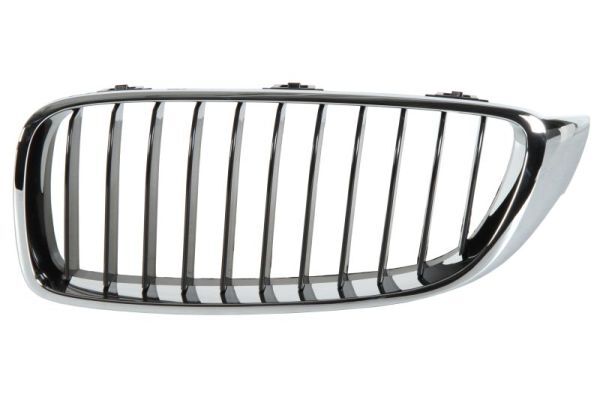 Blic 6502-07-0070991P KüHlergrill FüR BMW-image