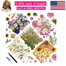 110Pcs Dried Flowers for Crafts, Real Pressed Flowers Dry Leaves Bulk Natural...