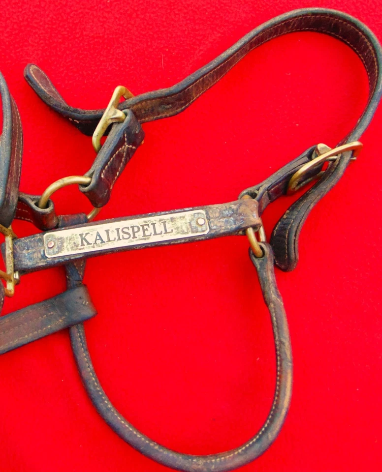 ANTIGUO 1920 "WALSH" CUERO Y LATÓN CUERO HALTER ~ CABALLO COMPLETO ~ TRIPLE PUNTADA Foto 2 de 4