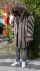 Bild 10 von 15