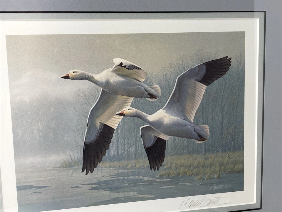 1989 NEW JERSEY State Duck Waterfowl Stamp Print DANIEL SMITH Signed 6171 FRAMED - Image 2 of 4