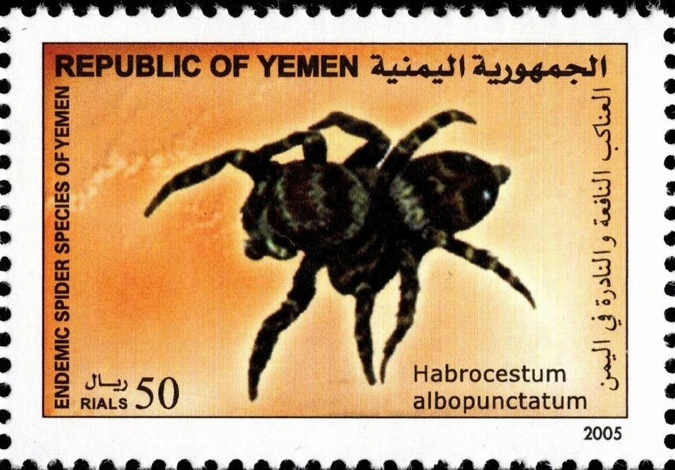 YEMEN 2005 ARAÑA ENDÉMICA ESPECIES DE YEMEN SEIS SELLOS Y HOJA DE RECUERDO MNH  Foto 4 de 4