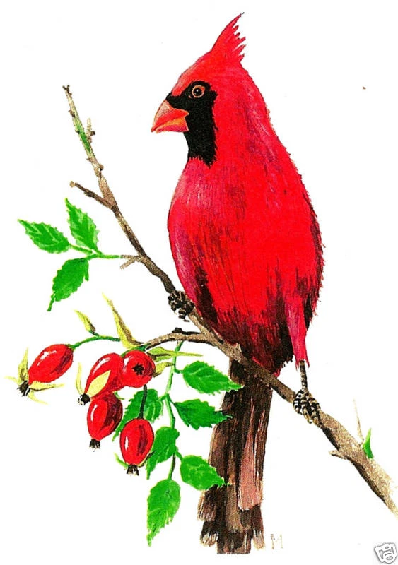 RYTA XMAS CARDINAL BIRD PRINT OF PAINTING ACEO FOLK ART WHIMSICAL BERRIES GIFT