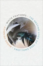 White Feathers: The Nesting Lives of Tree Swallows by Heinrich