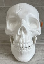 HYDE EEK Boutique Halloween Skull Indoor Outdoor Halloween Decorations