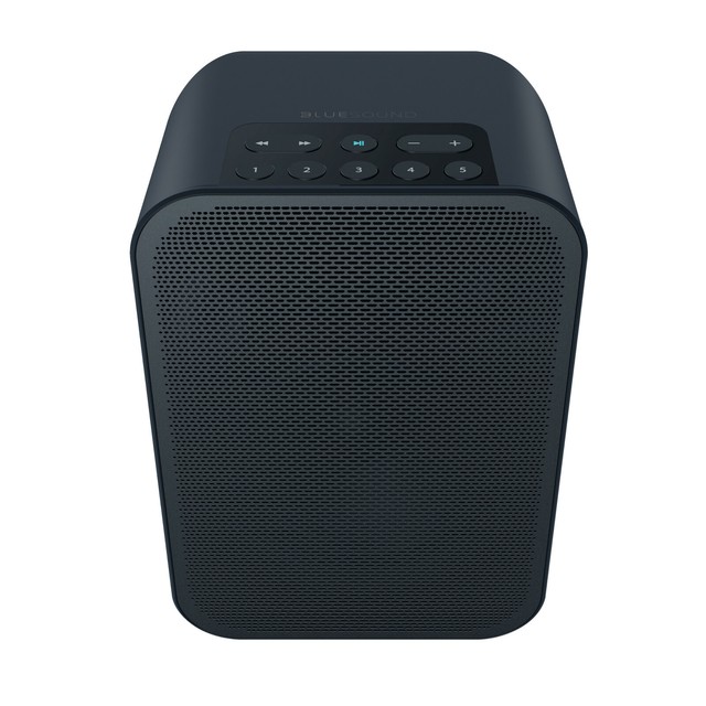 Bluesound Pulse Flex 2i Portable Streaming Lautsprecher Fur