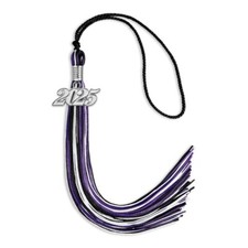 Endea Graduation Black/Purple/White Mixed Color Tassel with Silver Date Drop