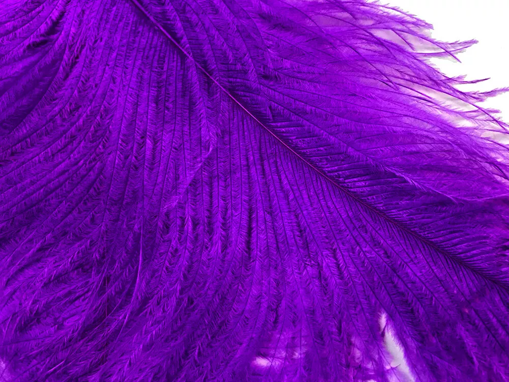 Ostrich Feathers - 16-18 Tail Feathers - Purple