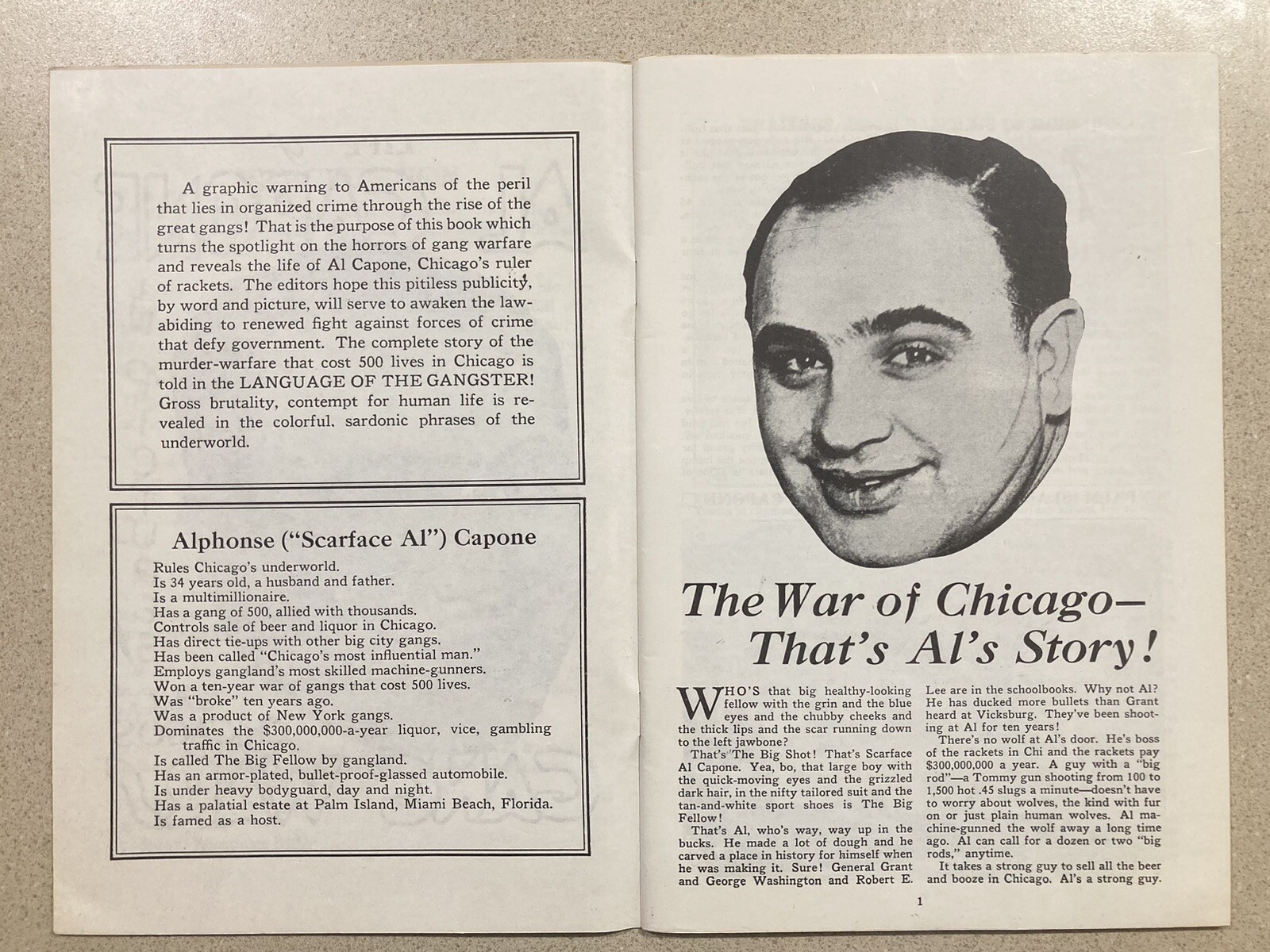 Life of Al Capone In Pictures The Hideouts 1986 Booklet Chicago