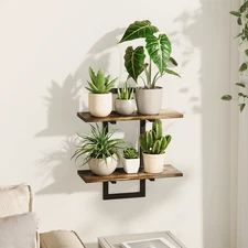 Bamworld Wall Planter for Indoor Plants Window Plant Shelf Vertical Plant Holder