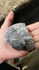 Feldspar Porphyry Basalt Glacial Erratic Raw Mineral Specimen Leopard Rock⁠ — photo 4
