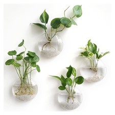 Mkono Wall Hanging Planter Propagation Station Glass Flower Vase for Hydroponics