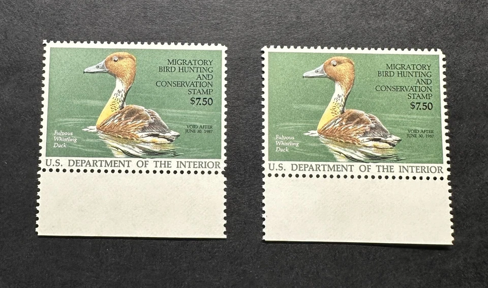 #RW53 1986 - Federal Duck Stamp - MNH **BLACK & GRAY COLOR VARIETY TEXT ERROR** - Imagem 3 de 3