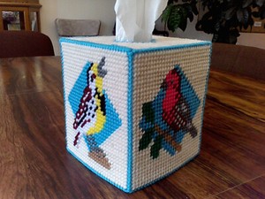 MEADOWLARK AND FINCH BOUTIQUE TISSUE BOX COVER IN PLASTIC CANVAS