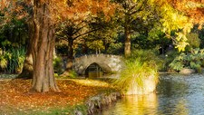 Landscape new zealand nature trees water leaves Custom Gaming Mat Desk