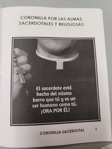 Coronilla por las Almas Sacerdotales y Religiosas - Bild 2 von 5