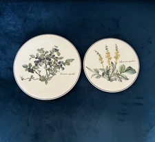 Villeroy & Boch Botanica Trivet or Tea Tile PAIR Germany Must SEE !