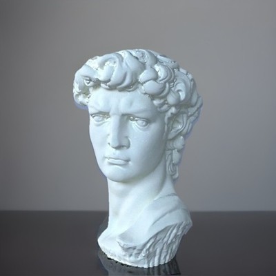 Bust of David - 8 inches- White