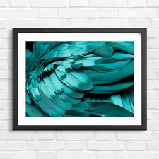 Vibrant Macaw Parrot Wings Closeup Teal Framed Wall Art Print Large Picture Home