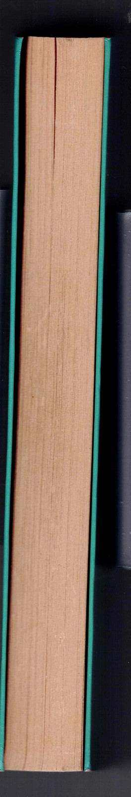 Picture 4