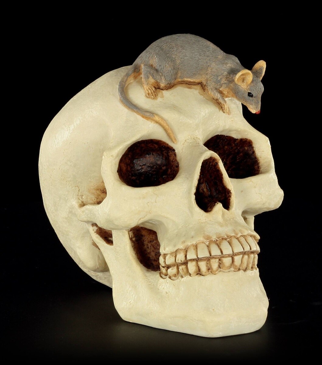 Money Box - Skull with Mouse - Veronese Gothic Skull Piggy Bank