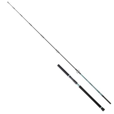 Hearty Rise Monster Game Tuna Hunter S 2,38m 80-180g - Meeresrute, Thunfischrute