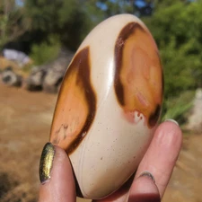 Polychrome Jasper Light Cream Ochre Orange Freeform Standing | 212 grams