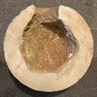 12pdr CS Polygonal Cavity Shell Half