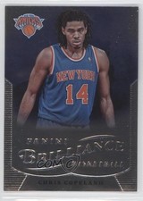 2012-13 Panini Brilliance Chris Copeland #238 02v3