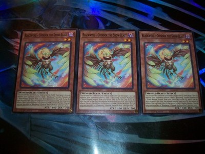 3x Blackwing - Chinook the Snow Blast 1st Edition Common L5DD-ENC14 Yu-Gi-Oh!