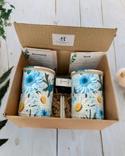 Large African Daisy Floral Planters EcoFriendly Grow Your Own Herb