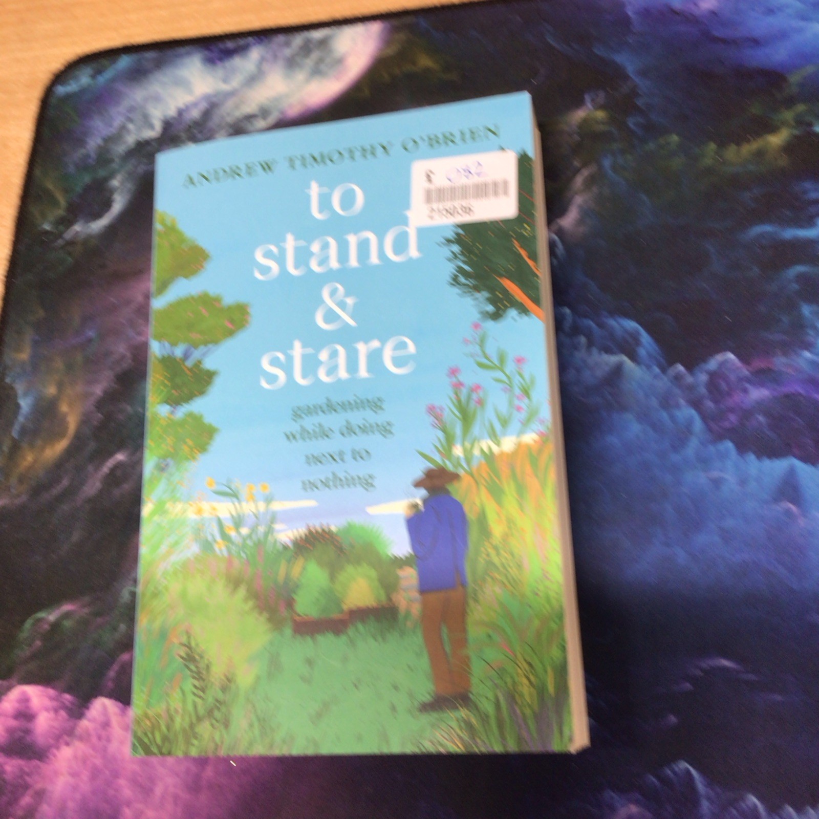 To Stand and Stare by Andrew Timothy O'Brien Paperback