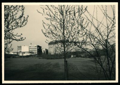 Berlin 1959 - Volkspark Humboldthain Gesundbrunnen Mid - 1950s - Photo 9x6cm