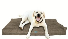 Five Diamond Collection Shredded Memory Foam Orthopedic Dog Bed, Made In USA Gr